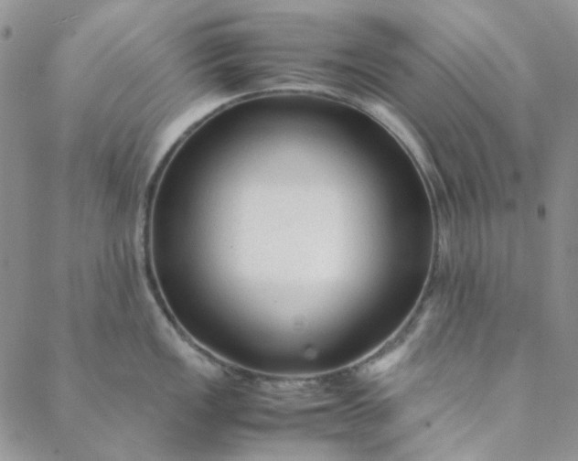 X0000088621149200706081515