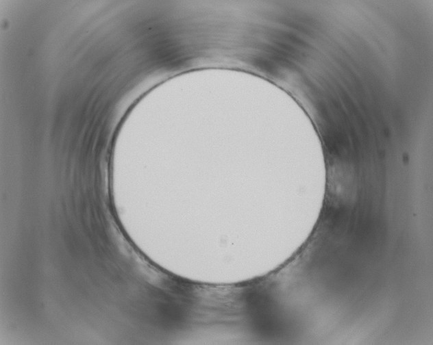 X0000088621150200706081515