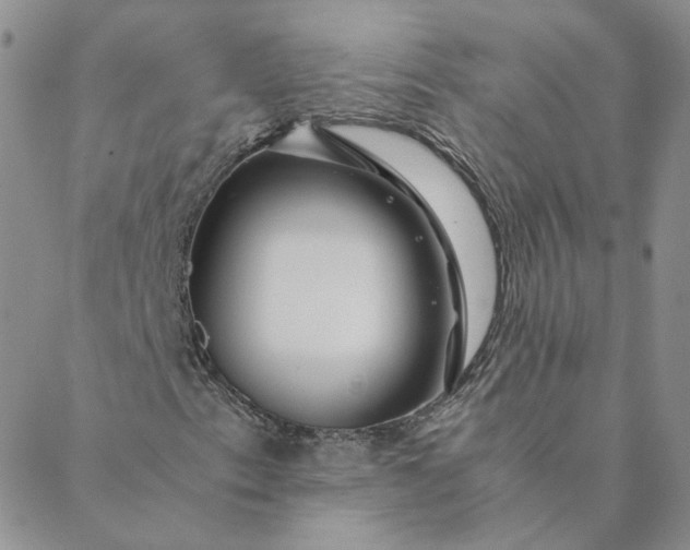 X0000088621153200706081514