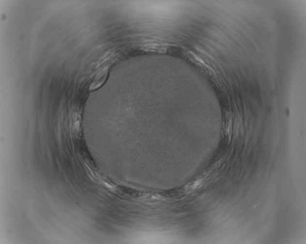 X0000088621154200706081514