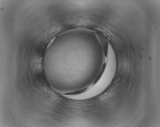 X0000088621156200706081514