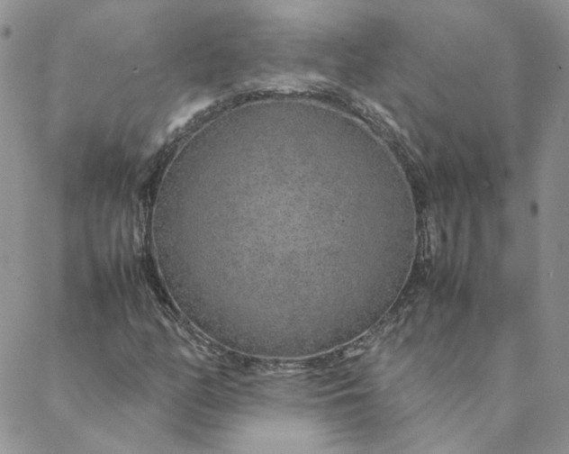 X0000088621158200706081514