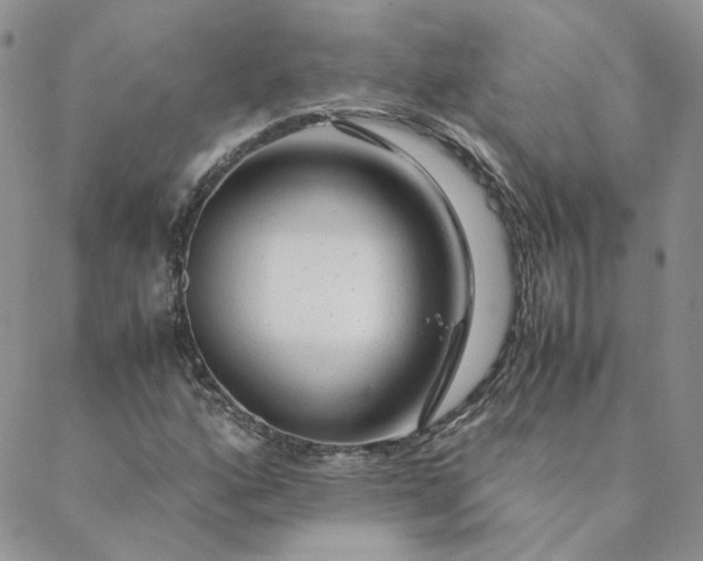 X0000088621160200706081514