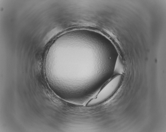 X0000088621163200706081514
