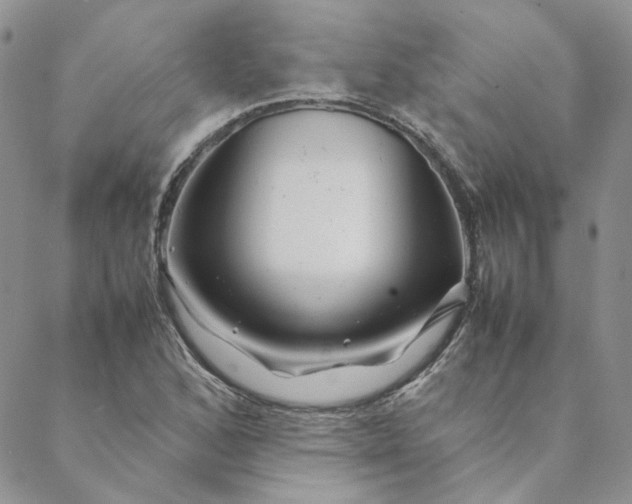 X0000088621168200706081514