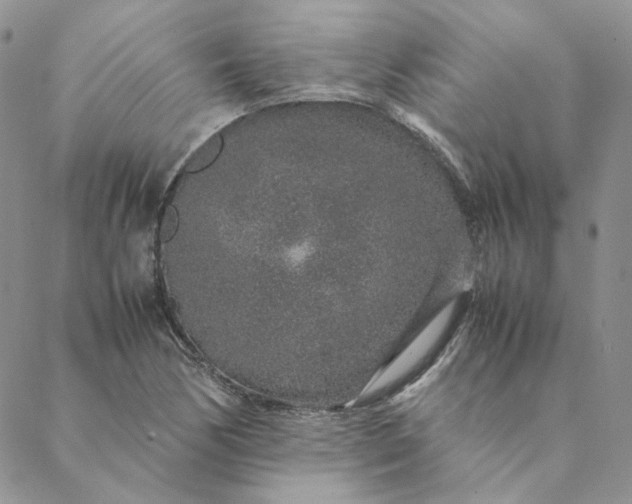 X0000088621170200706081514