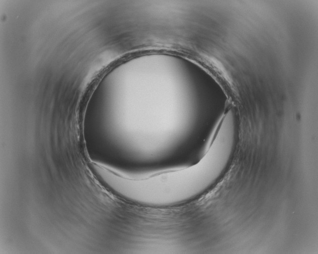X0000088621172200706081514