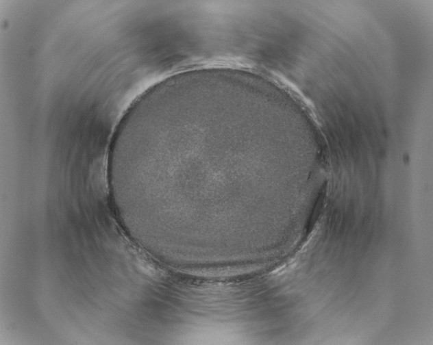 X0000088621174200706081514