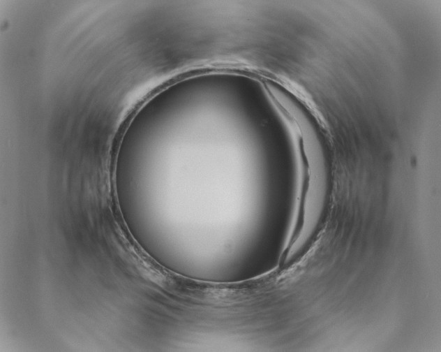 X0000088621176200706081514
