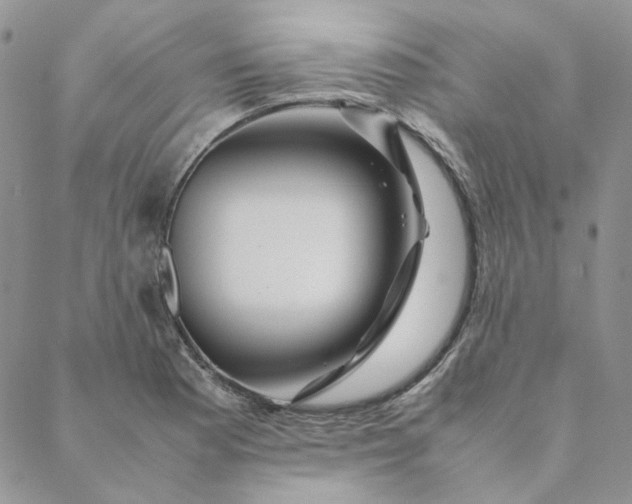X0000088621177200706081514
