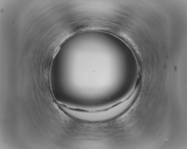 X0000088621185200706081514
