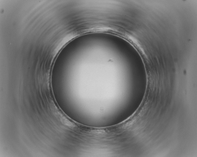 X0000088621186200706081514