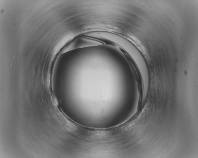X0000088621188200706081514