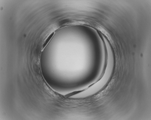 X0000088621193200706081514