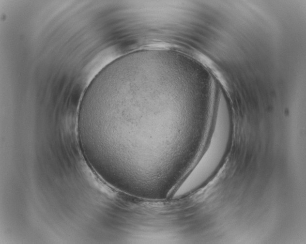 X0000088621194200706081514