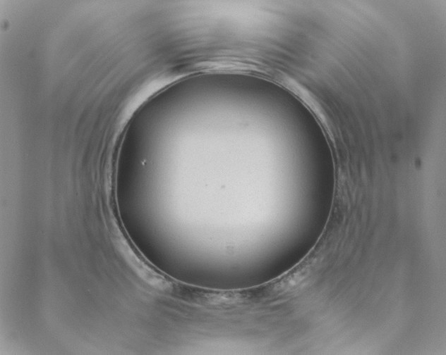 X0000088621195200706081514