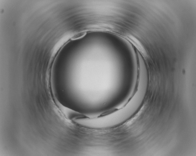X0000088621196200706081514