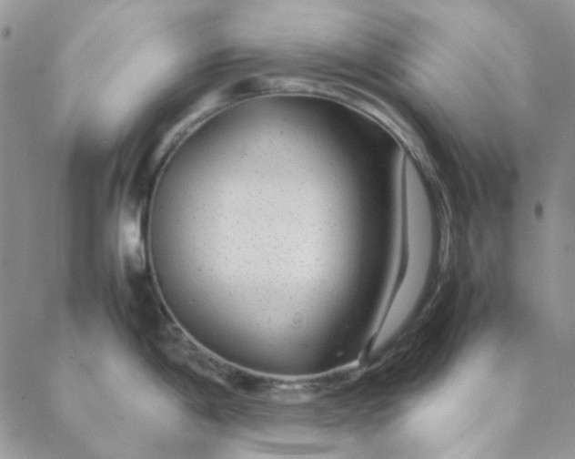 X0000088621198200706081514