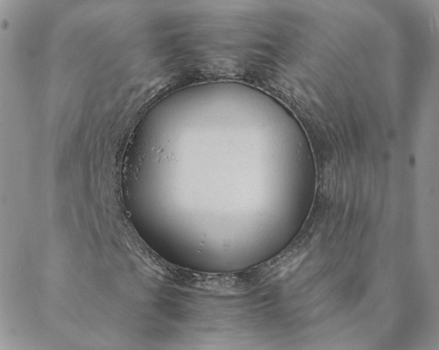 X0000088621201200706081513