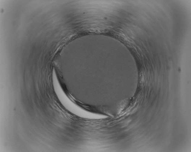 X0000088621202200706081513