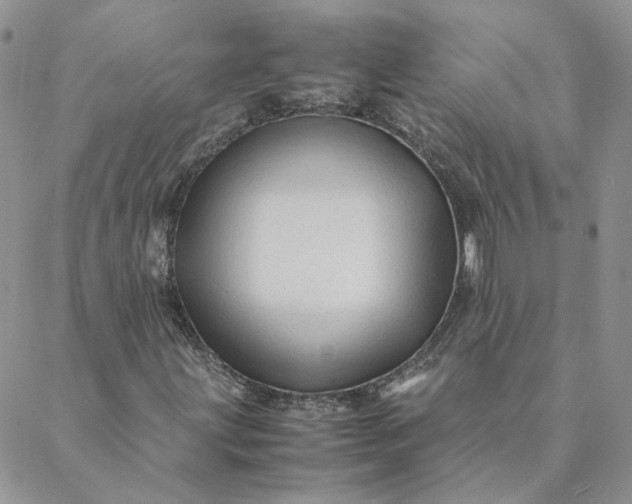 X0000088621203200706081513