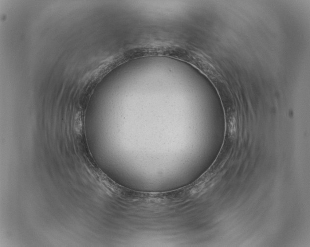 X0000088621204200706081513
