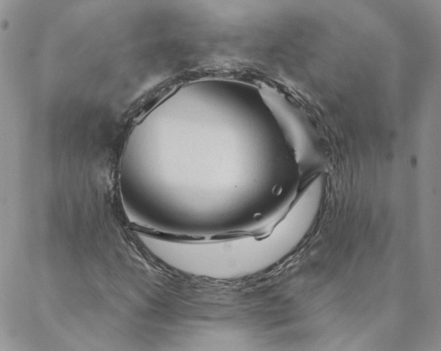 X0000088621206200706081513