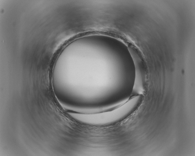 X0000088621214200706081513