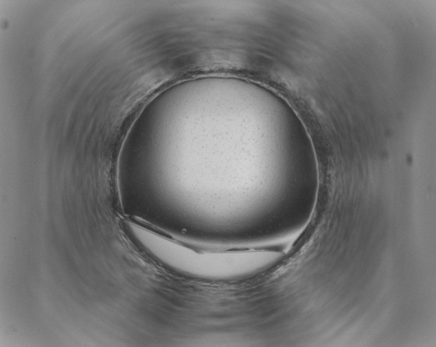 X0000088621217200706081513