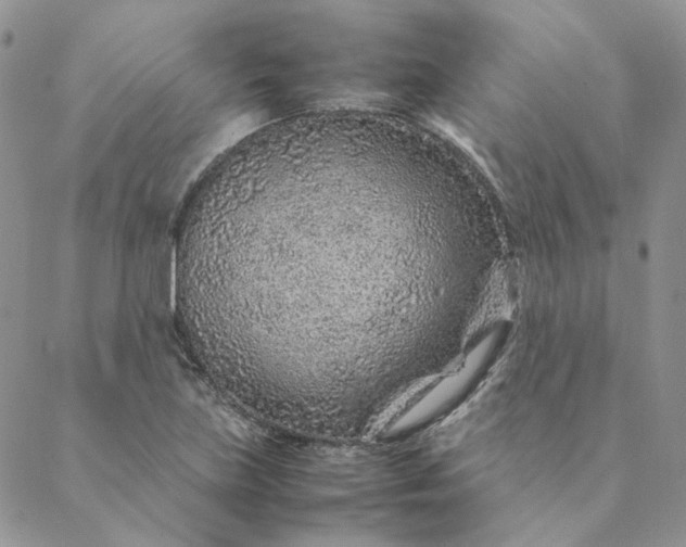 X0000088621219200706081513