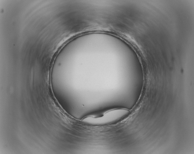 X0000088621220200706081513