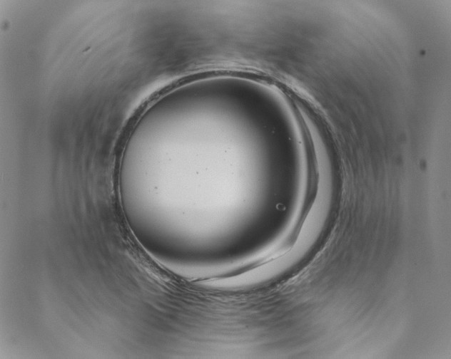 X0000088621222200706081513