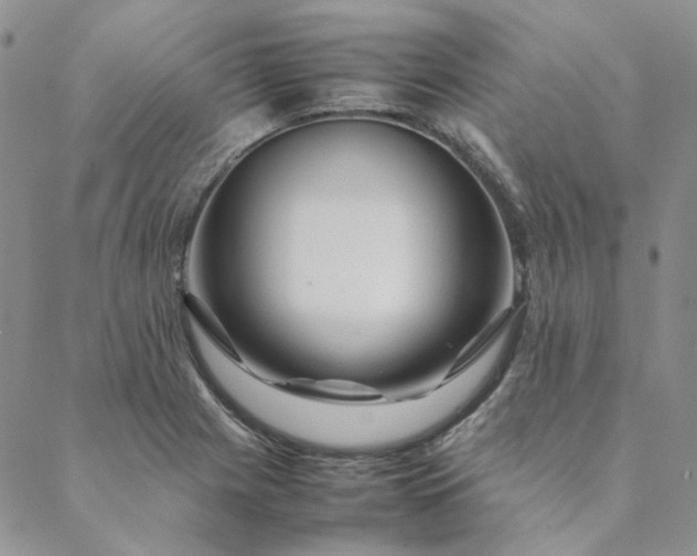 X0000088621225200706081513