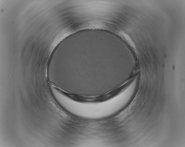 X0000088621226200706081513