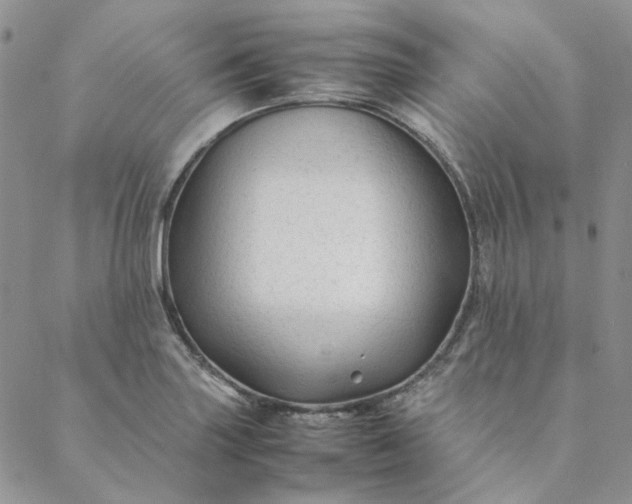 X0000088621227200706081513