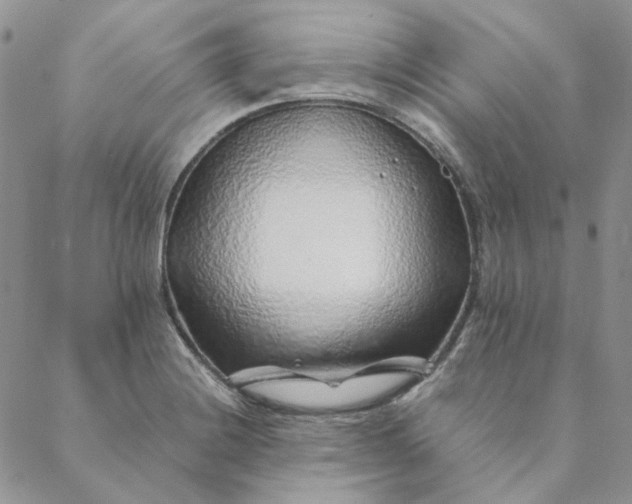 X0000088621228200706081513