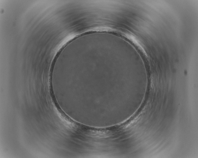 X0000088621229200706081513