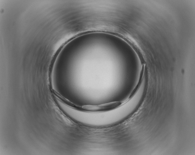 X0000088621230200706081513