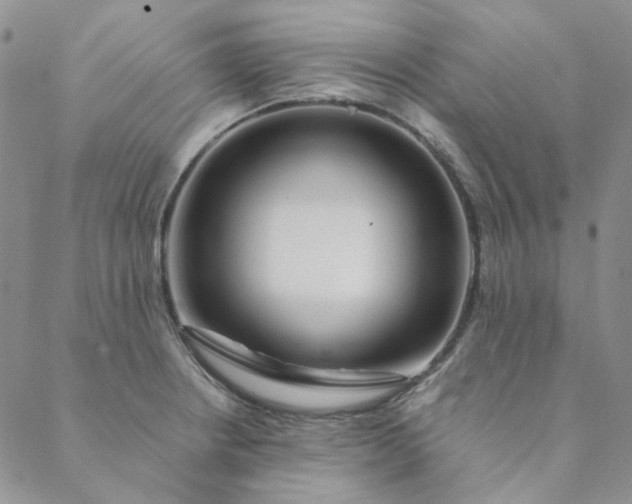 X0000088621234200706081513