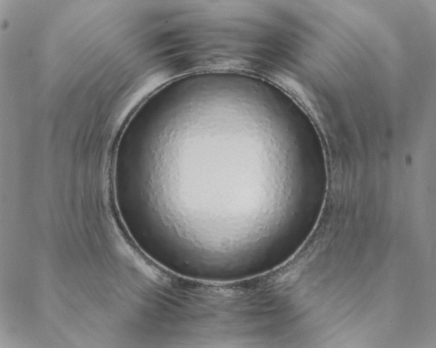 X0000088621235200706081513