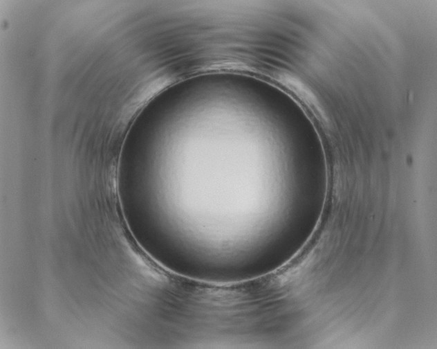X0000088621241200706081513