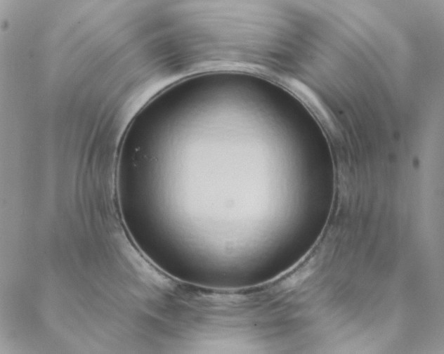 X0000088621244200706081513