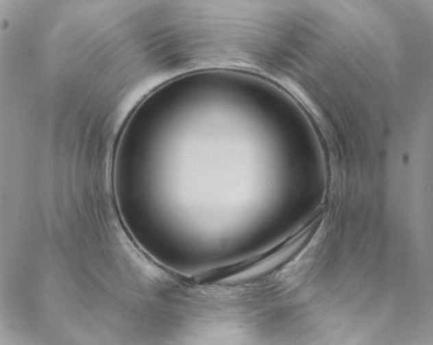 X0000088621246200706081513