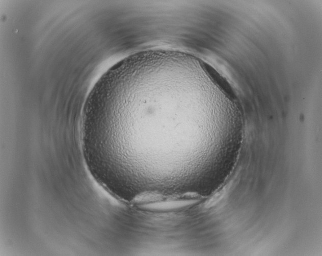 X0000088621247200706081513