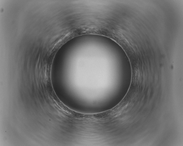 X0000088621250200706081513