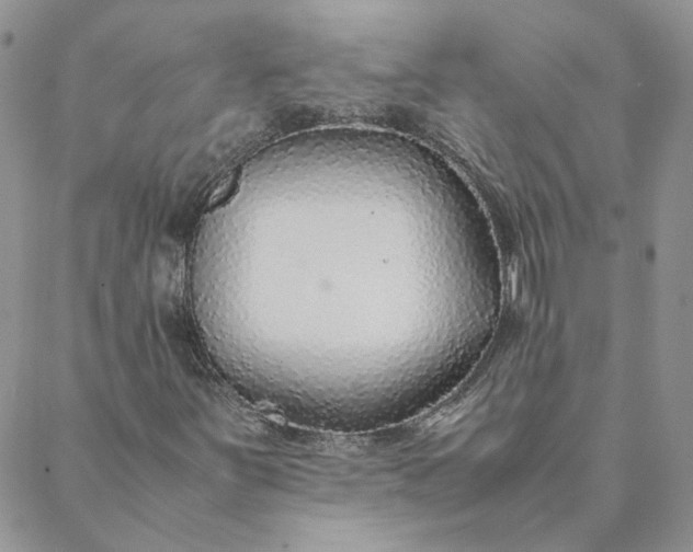 X0000088621251200706081513