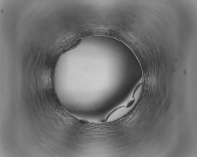 X0000088621252200706081513