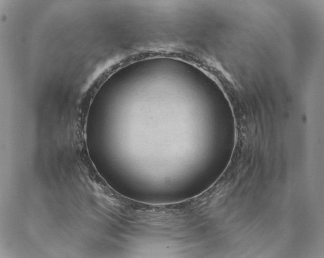 X0000088621256200706081513