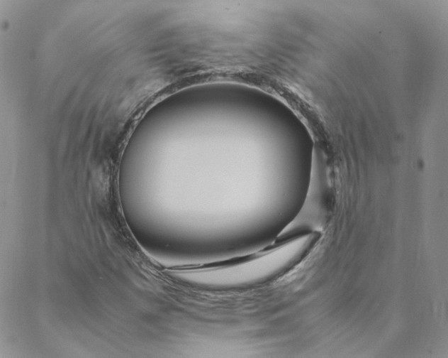 X0000088621257200706081513