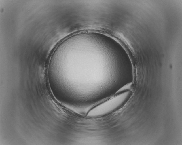 X0000088621260200706081513